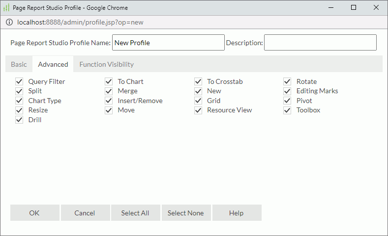 Page Report Studio Profile dialog box - Advanced tab